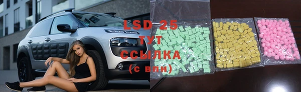 бошки Сясьстрой