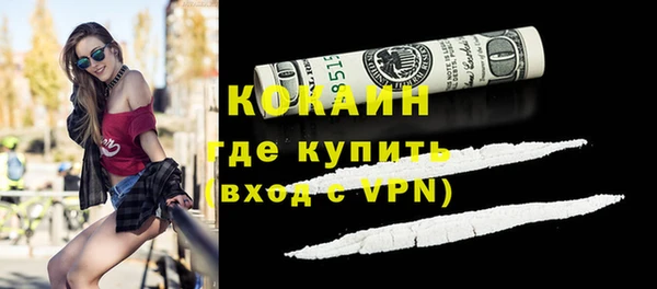 бошки Ельня