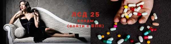 бошки Ельня