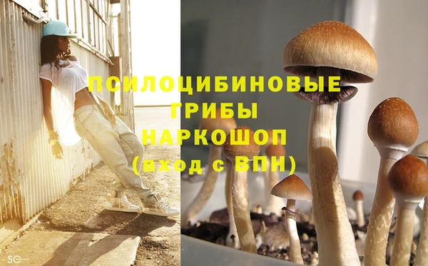 шишки Гусиноозёрск