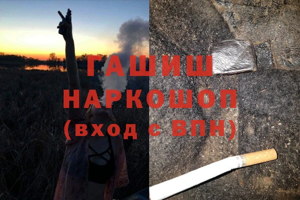 бошки Ельня