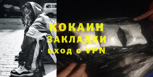шишки Гусиноозёрск
