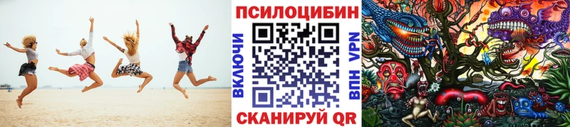 mega как зайти  купить  цена  Венёв  Галлюциногенные грибы мицелий 
