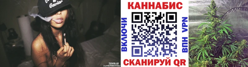 что такое   Венёв  Бошки Шишки марихуана 